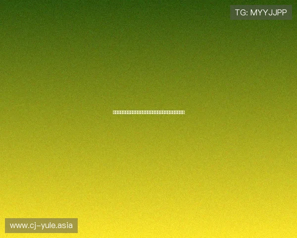 捷克队与韩国队国旗展示全景解析:世界杯赛场上的国家象征意义